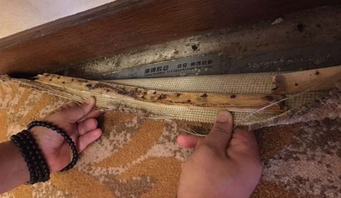 酒店地毯发霉处理